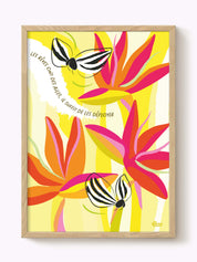 Affiche Oiseau du paradis