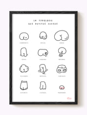 Affiche La typologie des petites fesses