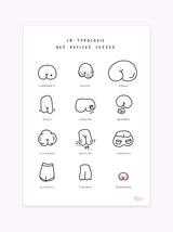 Affiche La typologie des petites fesses