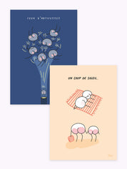 pack-affiches-duo-bleu-et-rose